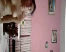 Indian Girl Webcam dance