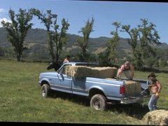 Cowboys In Haystacks