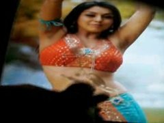 hansika cum tribute