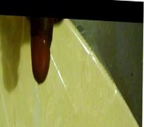 jerking thick black cock to porn cumshot on table