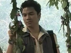Hmong Thai softcore movie wild orchid 2