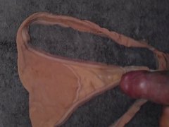 cum on neighbors brown thong panty