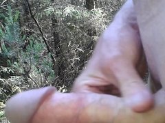 quick wank in the forest