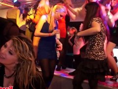 Real euro party babe fucked roughly