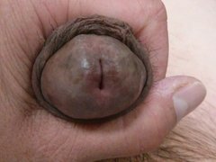 From flaccid to erect - No Cum