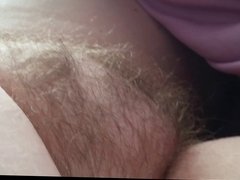 wifes tired matted down hairy pussy early morning