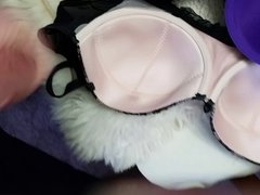 wank over 40 DD bras 