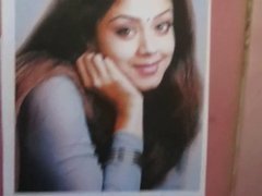 Jyothika Cum Tribute 3