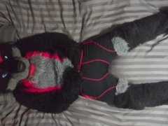 Sexy Fursuit Stripping