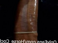 Solo Male Masturbation  Magnum Condom Cock  Big Dick Daddy POV Cumshot Big White Cock