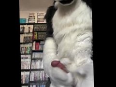 Eclipse Husky Jerk Off and Cumshot