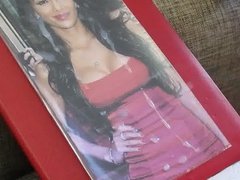 Cum Tribute Nicole Scherzinger 7