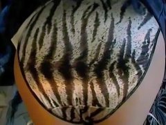 Zebra Panties Nylon Stockings