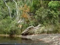 Natural fucking on the bank of lake