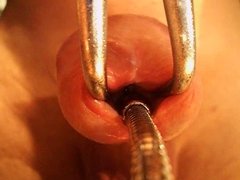 Come to see the inside of  hole cock voir interieur sexe