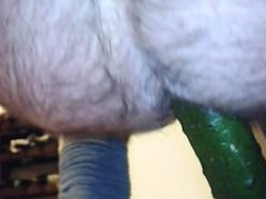 cucumber n. 1