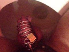 Pissing While I have on My Cock Cage