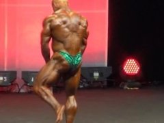 MUSCLEBULL ROBERT: Arnold Classic Europe 2014