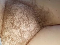rubbing her soft hairy pussy & tummy for bigbear,