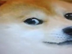 sexy Doge wants to fuck