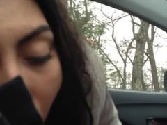 Persian girl swallows load in car bj