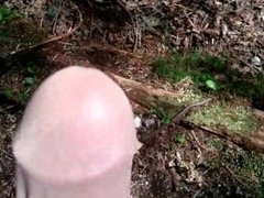 Nylon cock in the woods