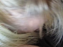Lisa Kay sucking cock in a car in the garage