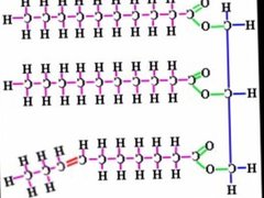 Cute brunette talks about macromolecules