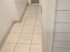 Risky Retail Park Toilet Wank