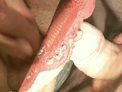 Tribute for zhuk - cum on a fucking couple