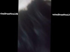 Asian sucking black dick on cam