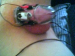 electro chastity belt