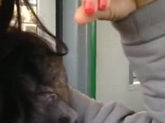 Quick blowjob at the bus from my hot girl