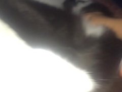 Rubbing Black Pussy (720P HD)