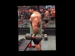 Bodybuilding Instagram videos collection