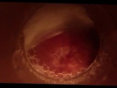 must-see HD internal view of creampie - penetration, thrusting, ejaculation