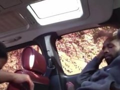 Homemade MILF gets fucked in car