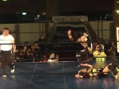 mixed wrestling japan