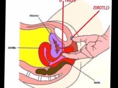 Comment doigter une fille (point G et clitoris)