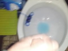 Wanking and cum in toilet