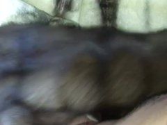 Rubbing fur on cock