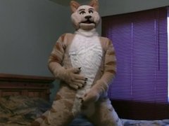 Gay Furry hand job