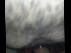 Clip of hotel gang bang with black party raw dick. He bred me all night.