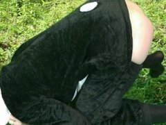 Creampie Panda Porn