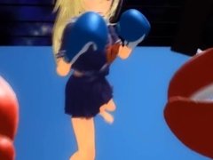3D boxing (Furin)