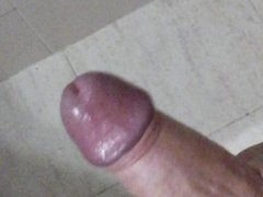 jerking my dick in the bathroom, any girl interested?