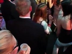 Horny brunette bride eats a big cock in public