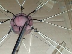 Cbt extreme cock torture with fishhooks  part 1