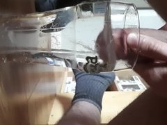 22 year old irish cum in pint of hot water