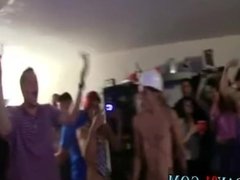 Crying frat boys being fucked gay everyone